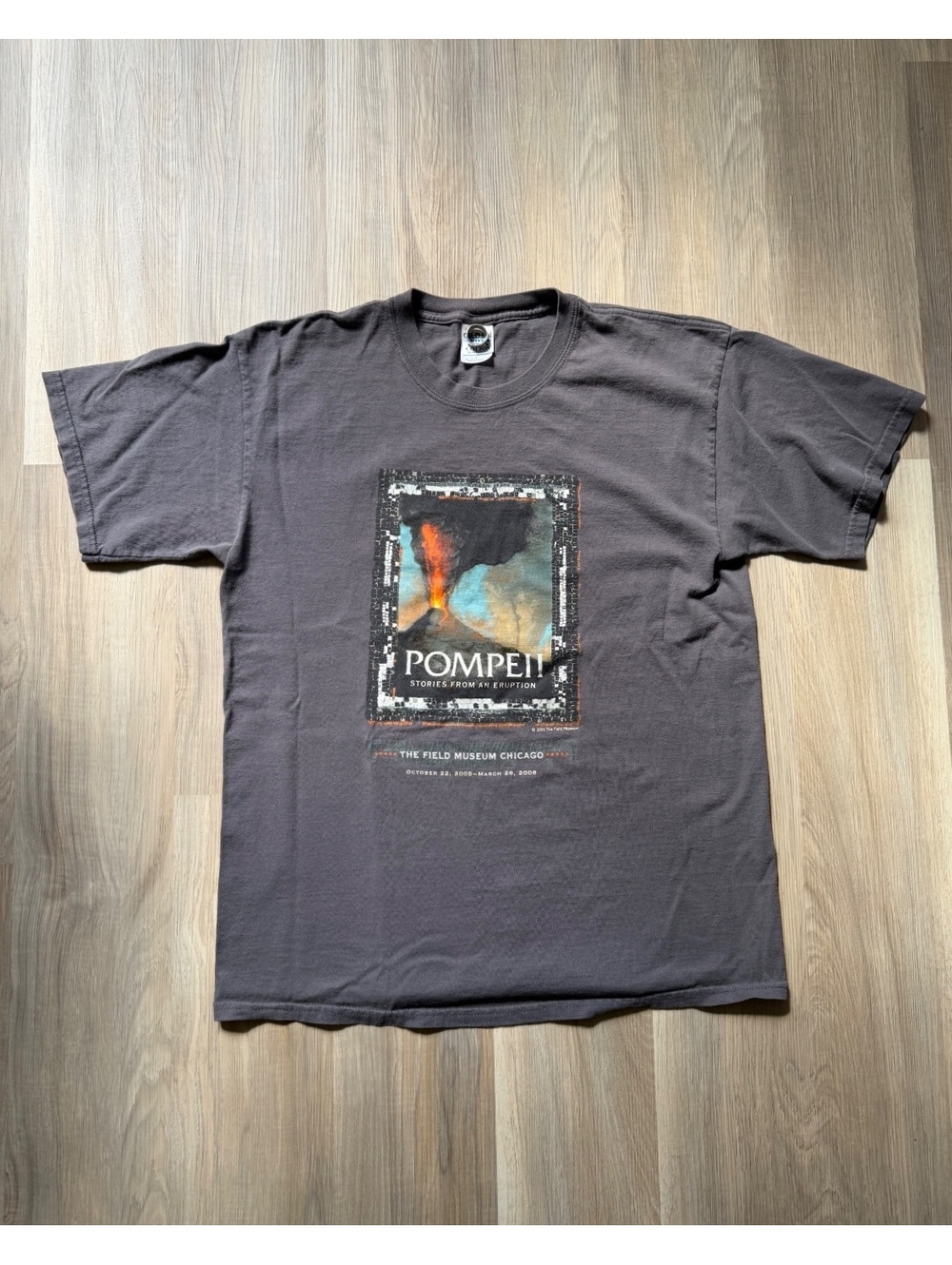 Vintage 2005 Pompeii Graphic T-Shirt